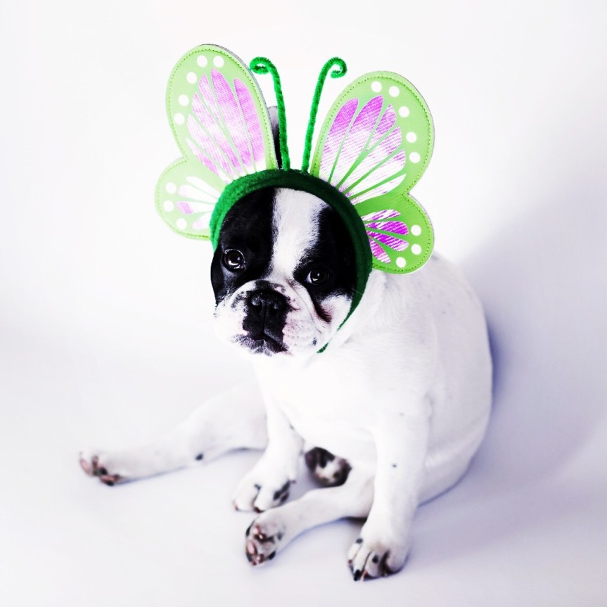 F174A13A-630B-4AD1-B598-79CD35552CF2